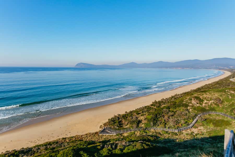 From Hobart/Adventure Bay: Bruny Island Wilderness Cruise - The Friars and Bruny’s wildlife