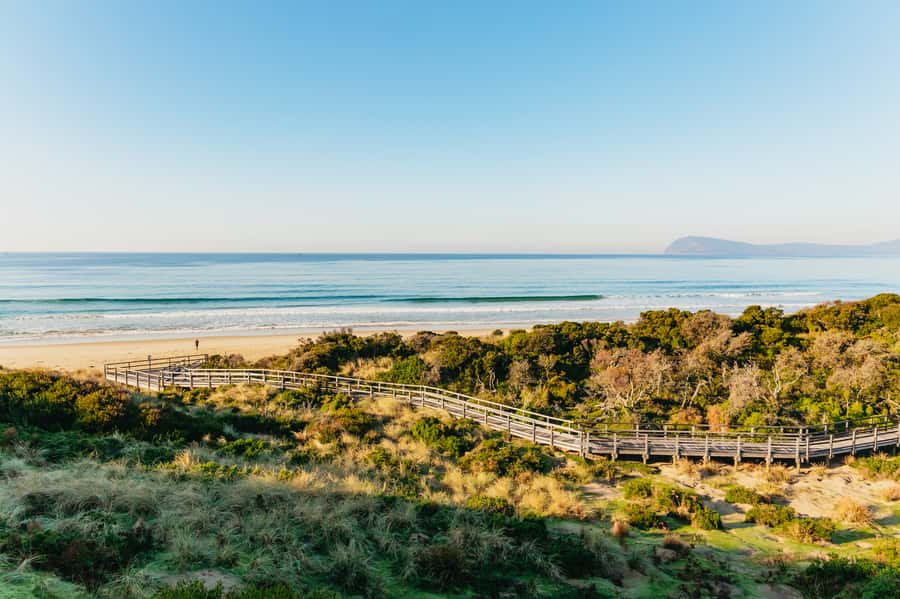 From Hobart/Adventure Bay: Bruny Island Wilderness Cruise - Guides, safety and the human side of the trip