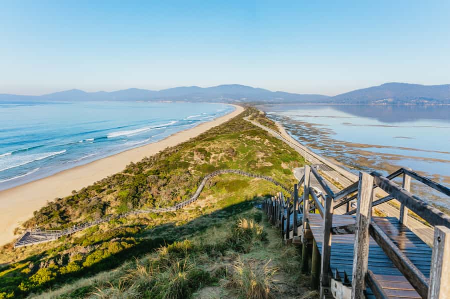 From Hobart/Adventure Bay: Bruny Island Wilderness Cruise - The yellow boats and what the ride feels like