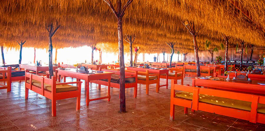 From Hurghada: Paradise Island Snorkeling Cruise with Lunch - Who Should Book This Red Sea Day?