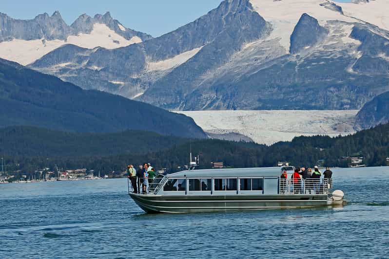 From Juneau: Whale Watching Cruise with Snacks - What you may see on the water