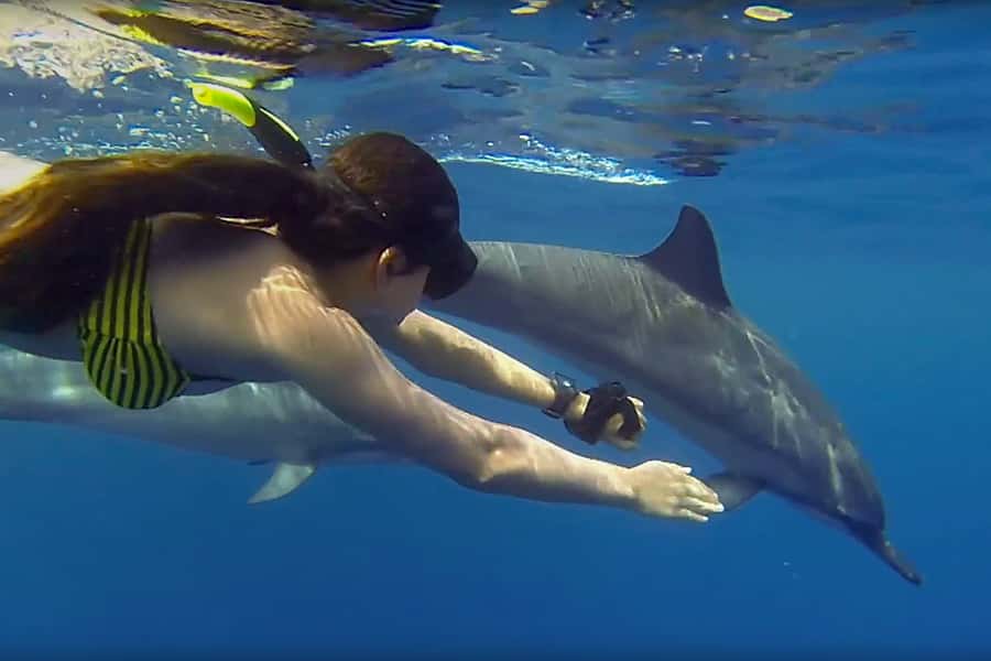 From Kendwa: Mnemba Boat Trip and Dolphin Snorkel Adventure - Snorkeling at Mnemba Atoll