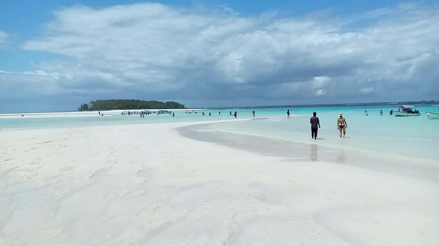 From Kendwa: Mnemba Boat Trip and Dolphin Snorkel Adventure - The disappearing sandbank and fresh island fruit