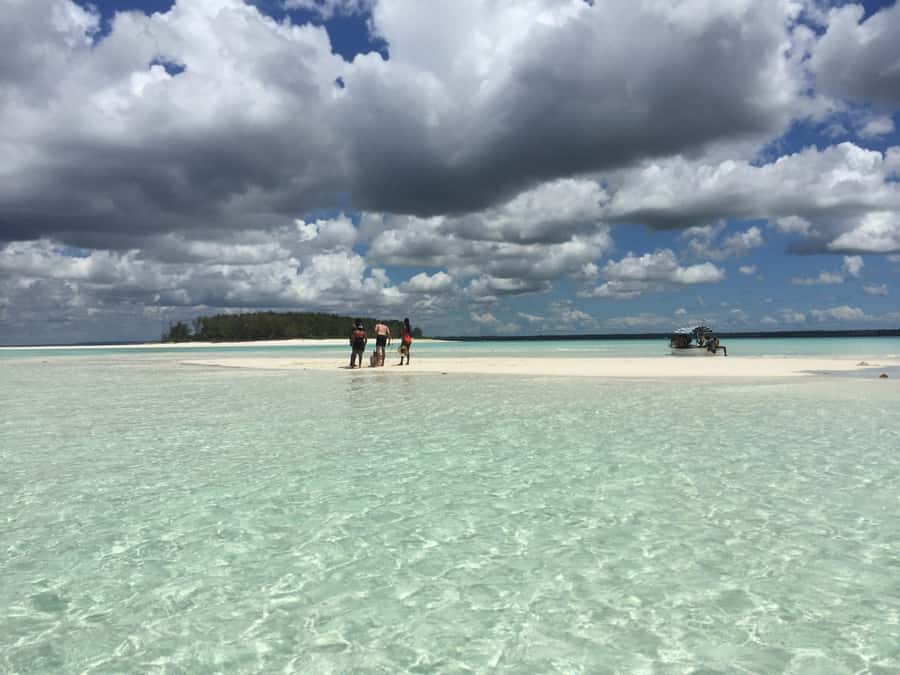 From Kendwa: Mnemba Boat Trip and Dolphin Snorkel Adventure - Booking details worth knowing