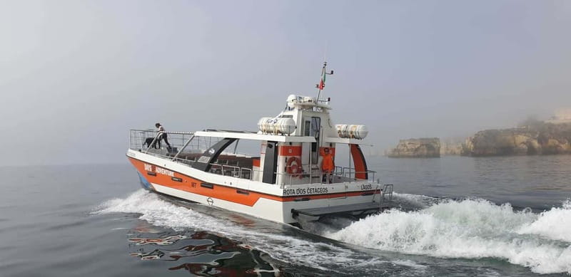 From Lagos: Benagil Caves Catamaran Cruise - Practical tips for a better day