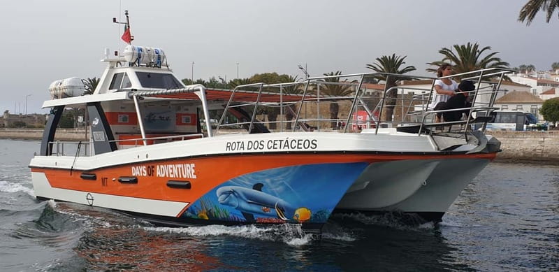 From Lagos: Benagil Caves Catamaran Cruise - Is $47 a fair price?