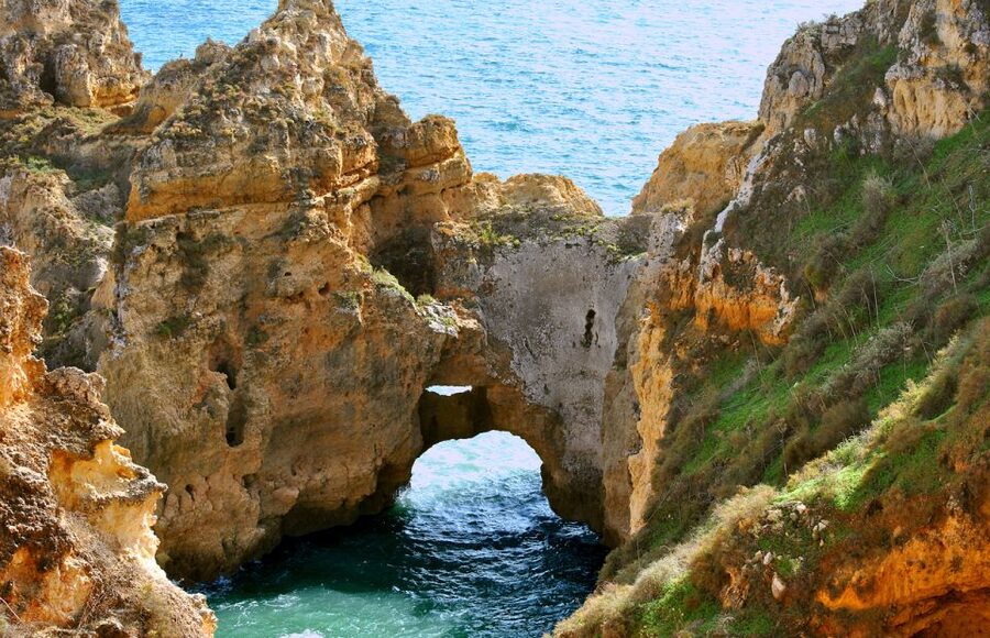 From Lagos: Cruise to the Caves of Ponta da Piedade - Booking details worth knowing