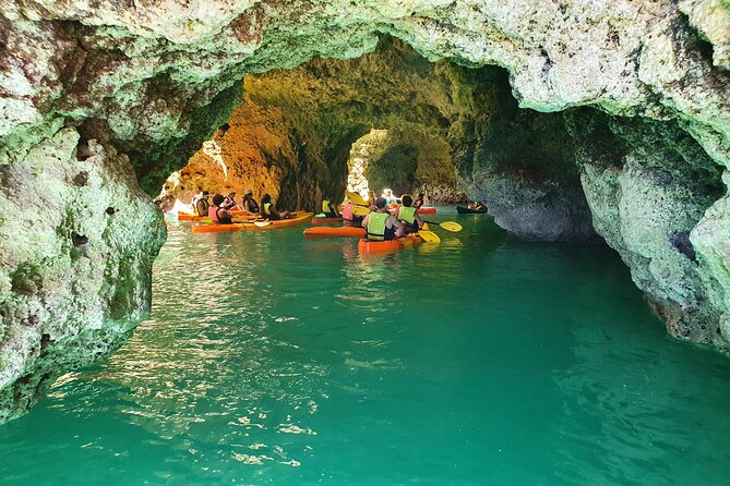 From Lagos: Kayak Tour of Ponta da Piedade Caves on Catamaran - Who will enjoy this kayak tour most