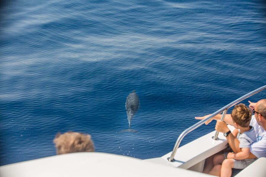 From Lefkimmi: Paxos, Antipaxos & Blue Caves Speedboat Tour - Why this Lefkimmi boat trip works