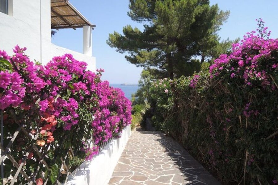 From Lipari: Panarea and Stromboli Cruise with Stops - Basiluzzo and Ginostra make the crossing worthwhile