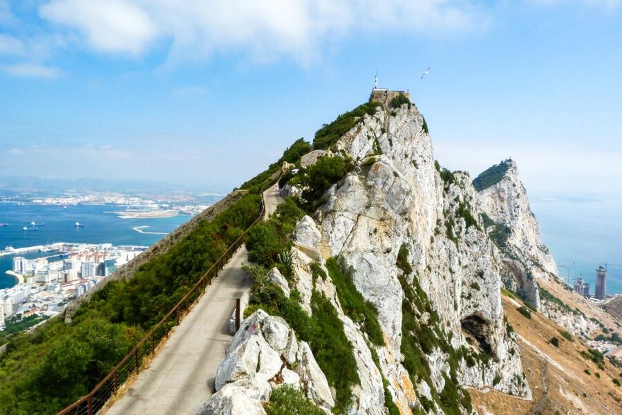From Malaga: Day trip to Gibraltar and Dolphin Boat Tour - Who should book this Gibraltar and dolphin combination?