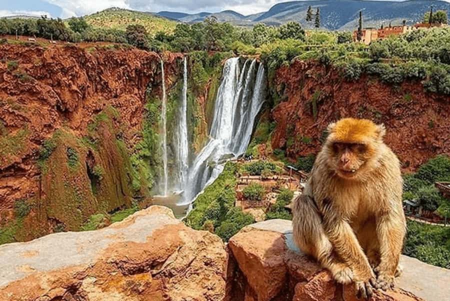 From Marrakech: Guided Ouzoud Waterfalls Tour with Boat Ride - Why Ouzoud Waterfalls is worth a full day from Marrakech