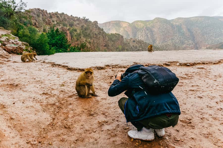 From Marrakech: Ouzoud Waterfalls Guided Hike and Boat Trip - Lunch with a view, not included in the $17