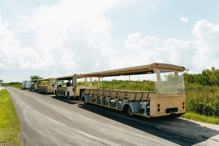 From Miami: Everglades Airboat Ride and Nature Walk - Five things to know before you go