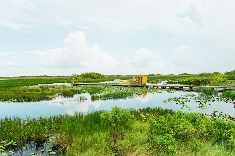 From Miami: Everglades Airboat Ride and Nature Walk - Why this tour works better than a quick airboat stop