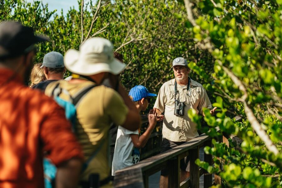 From Miami: Everglades Airboat Ride and Nature Walk - The three-hour park visit: more than an alligator search