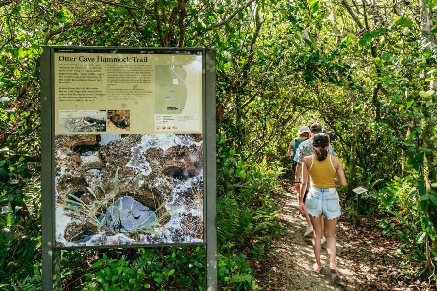 From Miami: Everglades Airboat Ride and Nature Walk - When to book and what to bring