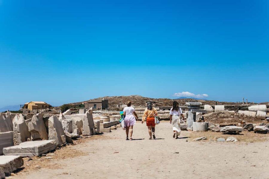From Mykonos: Cruise to Delos and Rhenia with Lunch - Who should book this Mykonos cruise