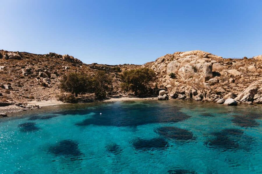 From Mykonos: Cruise to Delos and Rhenia with Lunch - Delos, where myth and archaeology meet