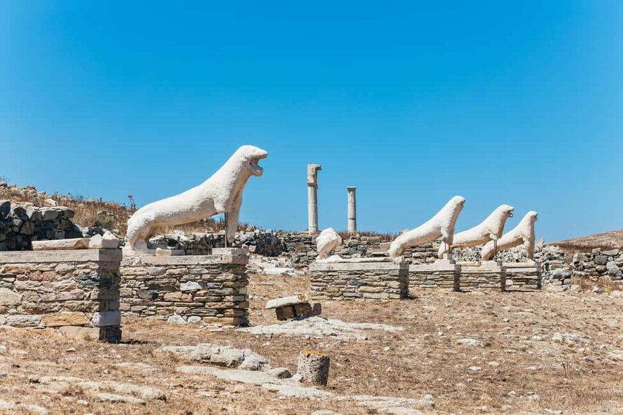 From Mykonos: Cruise to Delos and Rhenia with Lunch - Practical advice for a smoother day