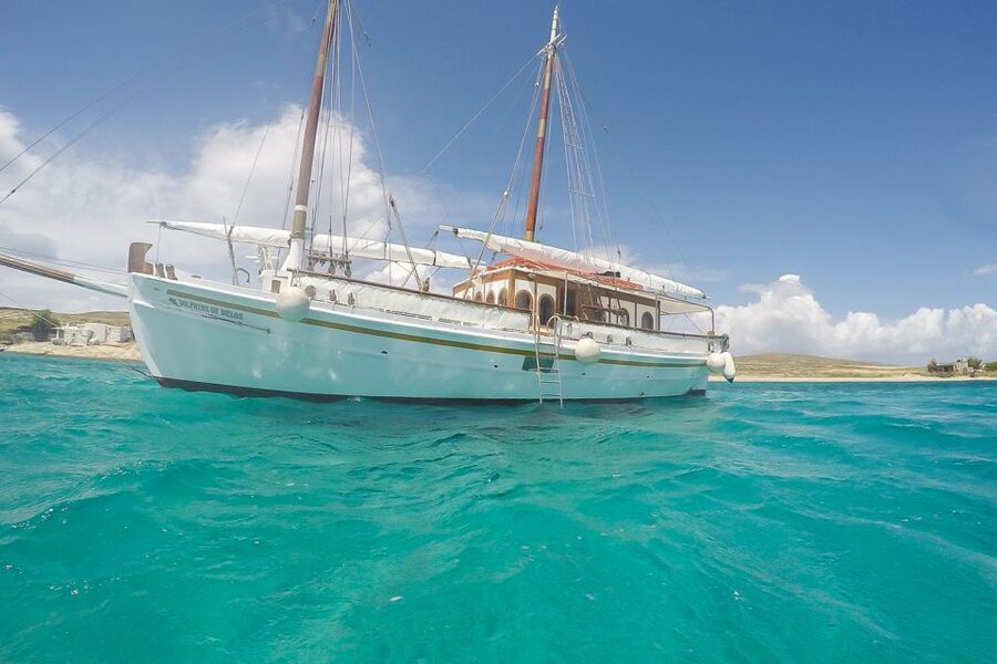 From Mykonos: Delos & Rhenia Islands Half-Day Trip by Boat - Two Cycladic islands in one six-and-a-half-hour outing