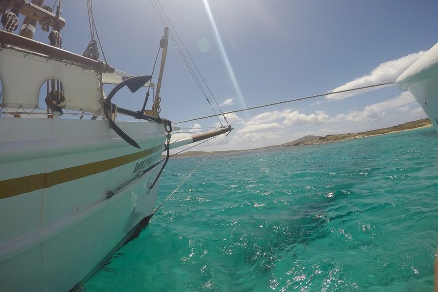From Mykonos: Delos & Rhenia Islands Half-Day Trip by Boat - A lively ride back to Mykonos