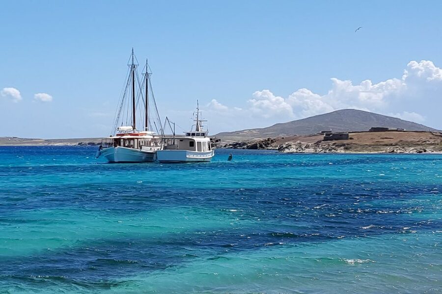 From Mykonos: Delos & Rhenia Islands Half-Day Trip by Boat - Who should book this Mykonos boat trip?