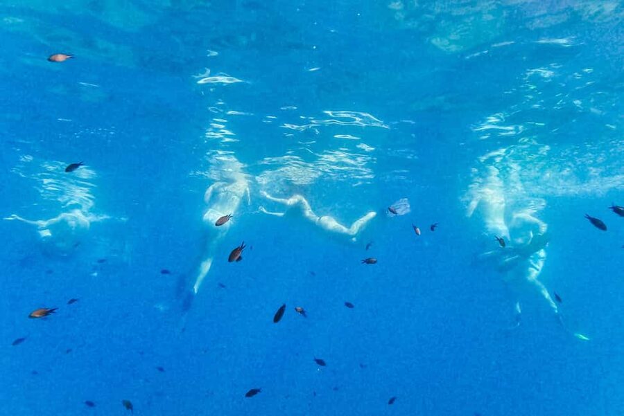 From Nice: French Riviera Swimming and Snorkeling Cruise - Who should book this Nice snorkeling cruise?