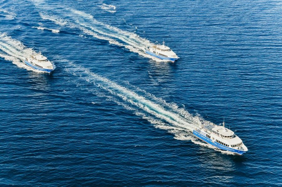 From Nice: Round-Trip Transportation to Saint Tropez by Boat - A scenic alternative to the road from Nice