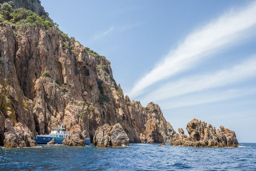 From Ota: Scandola Nature Reserve Eco-Friendly Boat Tour - Who should book this Porto cruise?