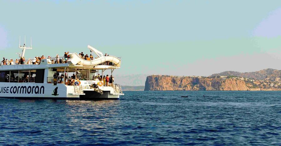 From Paguera: Dolphin Watching Cruise in a Glass-Bottom Boat - Choosing between the shorter and longer cruise