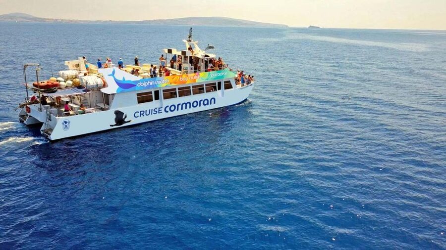 From Paguera: Dolphin Watching Cruise in a Glass-Bottom Boat - The cruise along Mallorca’s southwest coast