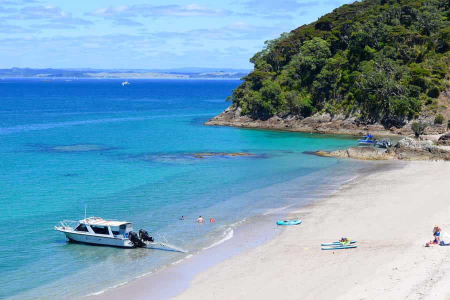 From Paihia: Scenic Cruise with Roberton Island Stopover - Why this three-hour cruise works