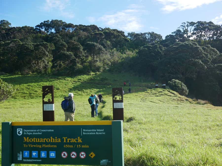 From Paihia: Scenic Cruise with Roberton Island Stopover - Should you book it?