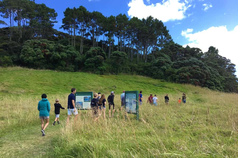 From Paihia: Scenic Cruise with Roberton Island Stopover - Leaving Paihia Wharf among 144 islands