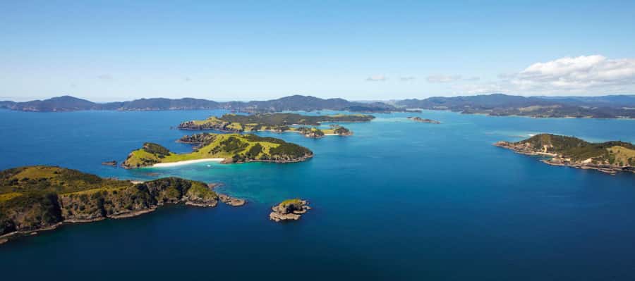 From Paihia: Scenic Cruise with Roberton Island Stopover - Seeing Motukokako Island and the Hole in the Rock