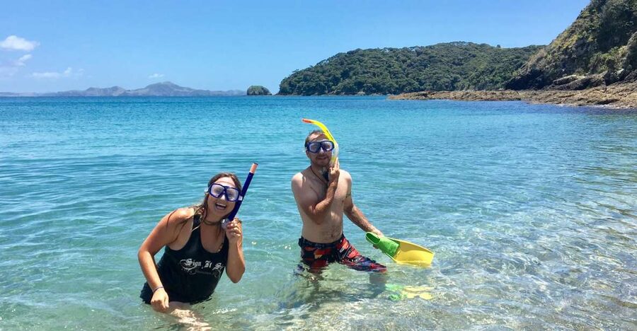From Paihia: Scenic Cruise with Roberton Island Stopover - Wildlife watching without guarantees