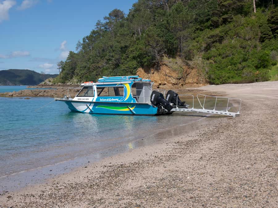 From Paihia: Scenic Cruise with Roberton Island Stopover - What the smaller boat changes