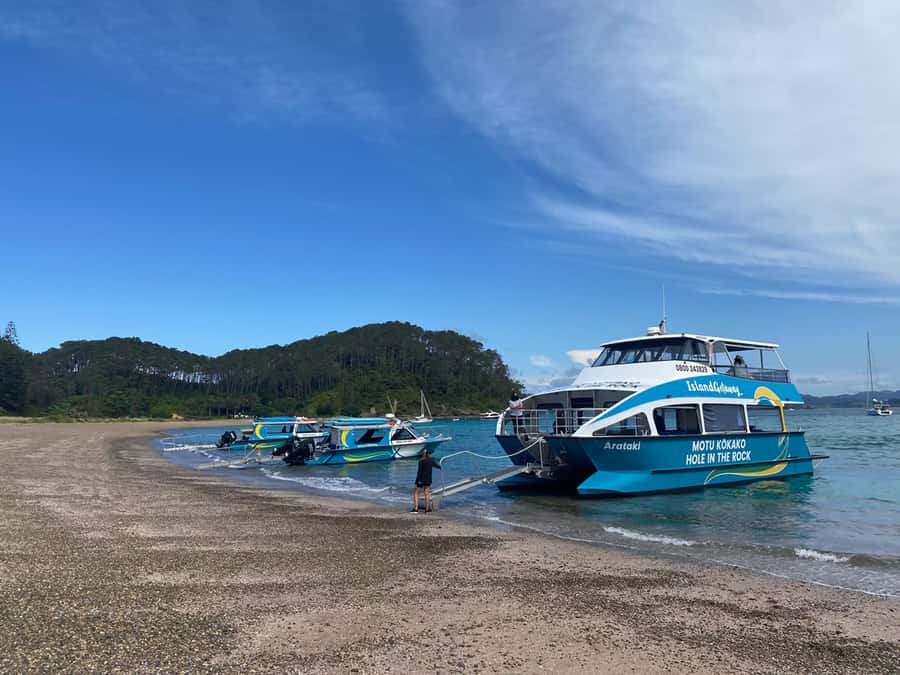 From Paihia: Scenic Cruise with Roberton Island Stopover - Price, timing, and what you actually receive