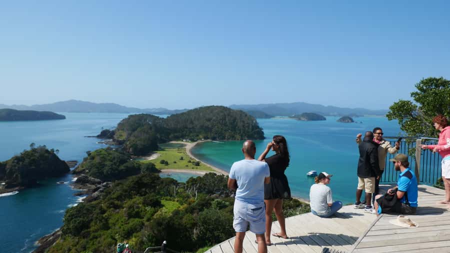 From Paihia: Scenic Cruise with Roberton Island Stopover - Who should book this Paihia cruise