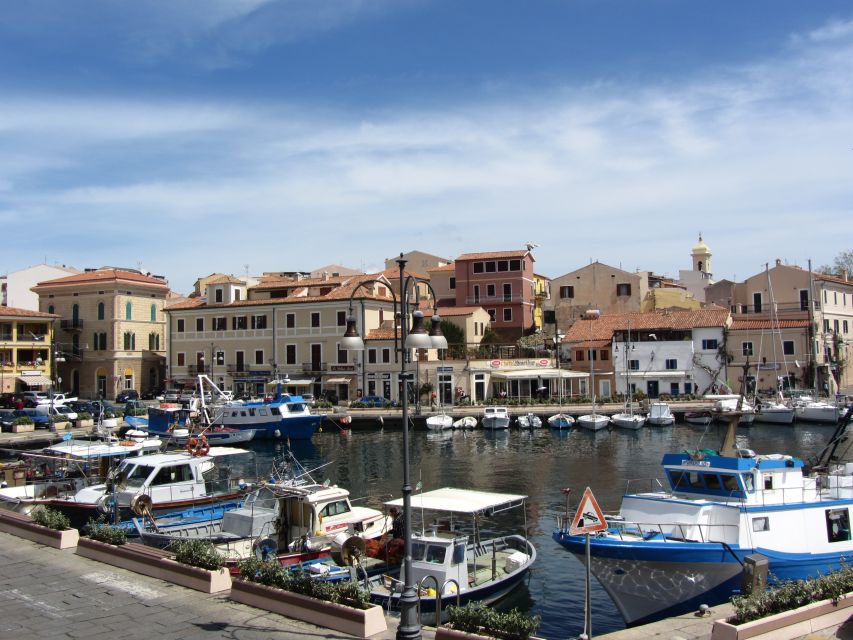 From Palau: La Maddalena Archipelago 4 Stops Boat Tour - Should you book this La Maddalena boat tour?
