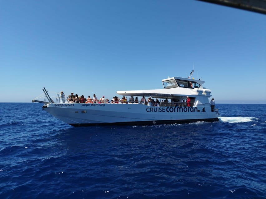 From Palma: 3-Hour Morning Dolphin Watching Boat Tour - Meeting the Carpe Diem in Palma