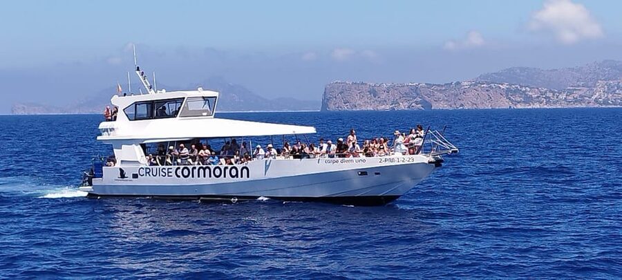 From Palma: 3-Hour Morning Dolphin Watching Boat Tour - The cove swim and snorkeling stop