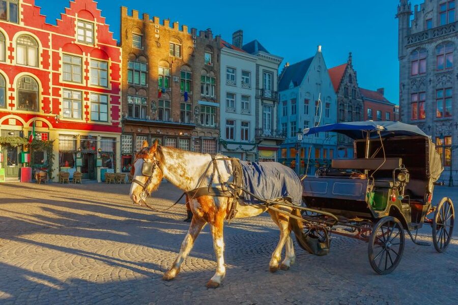From Paris: Day Trip to Bruges with Optional Seasonal Cruise - Key points to know before booking