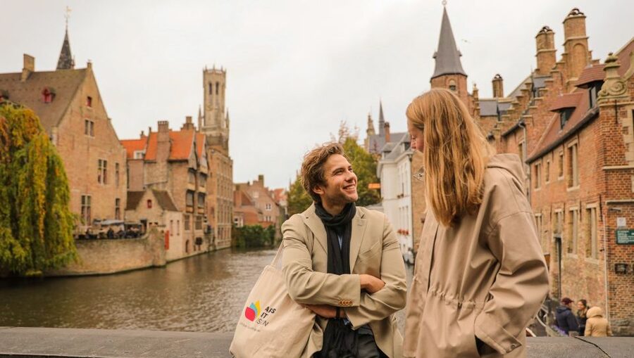 From Paris: Day Trip to Bruges with Optional Seasonal Cruise - Canals, Gothic façades, and the optional boat ride