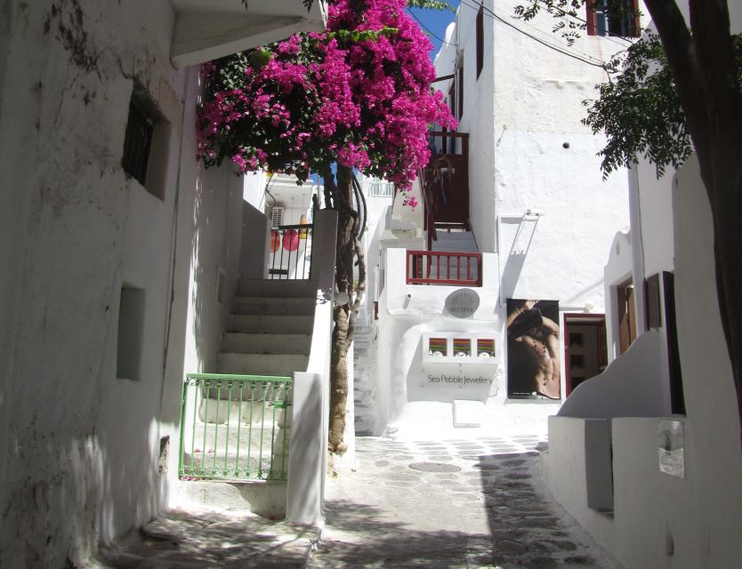 From Paros: Delos and Mykonos Full-Day Boat Trip - How the day feels from start to finish