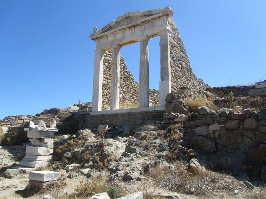 From Paros: Delos and Mykonos Full-Day Boat Trip - Who should book this Paros excursion?