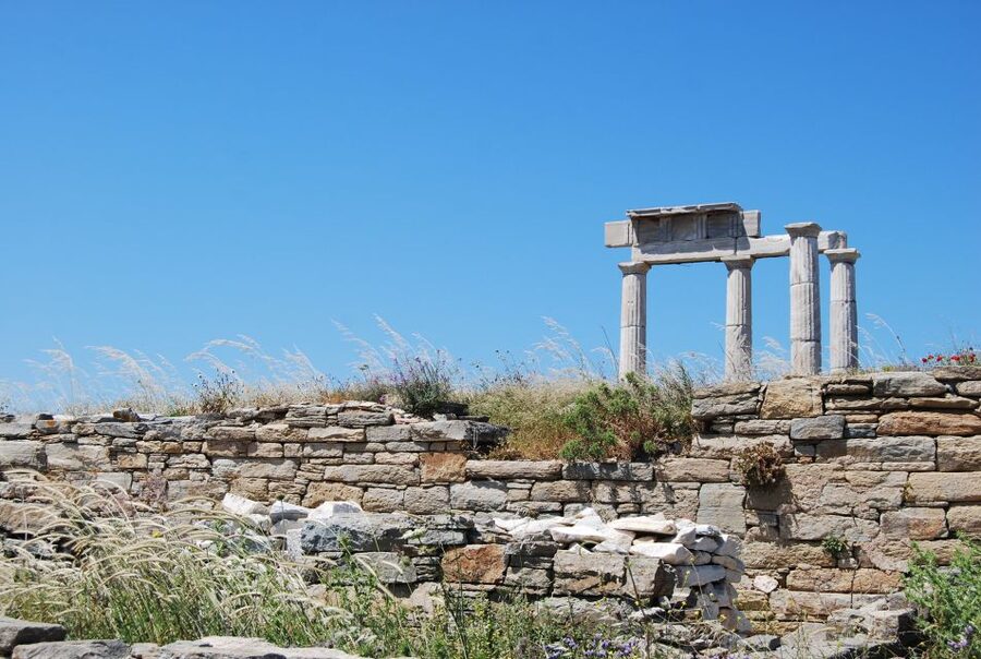 From Paros: Delos and Mykonos Full-Day Boat Trip - Visit Delos with or without a guide