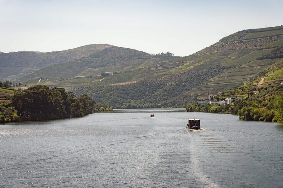From Pinhão: Douro Valley Rabelo Boat Tour with Port Wine - The estates along the Pinhão to Tua route