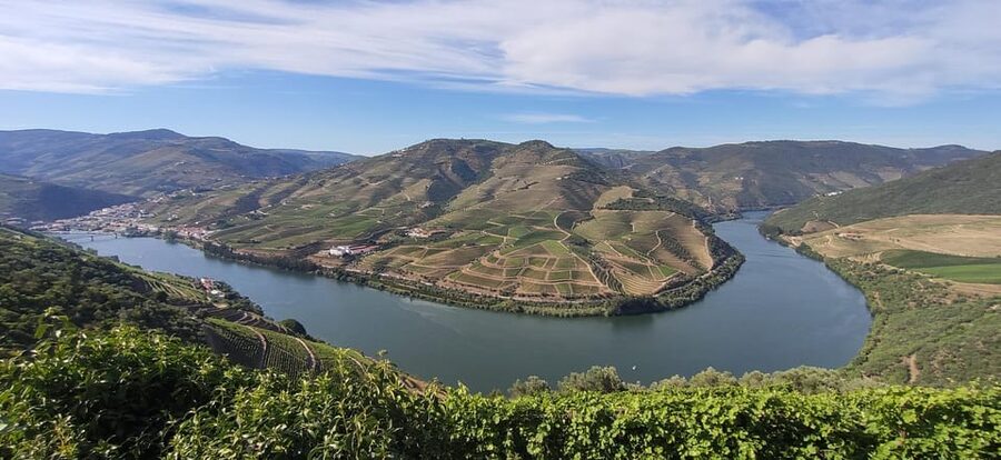 From Pinhão: Douro Valley Tour w/ Wine Tasting and Boat Trip - Why this short Douro tour works